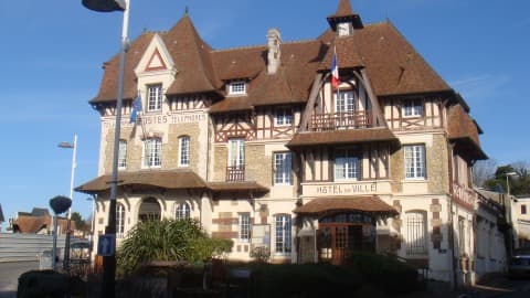 Ramoneur Blonville-sur-Mer