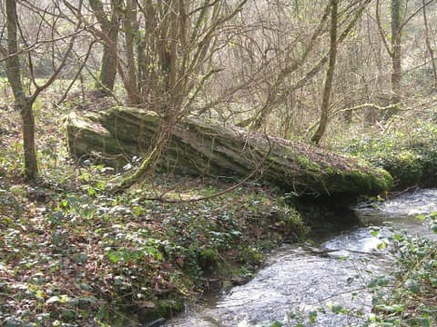 Ramoneur Culey-le-Patry